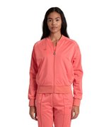 calypso coral-calypso coral-calypso coral