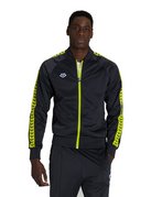 ash grey-soft green-ash grey